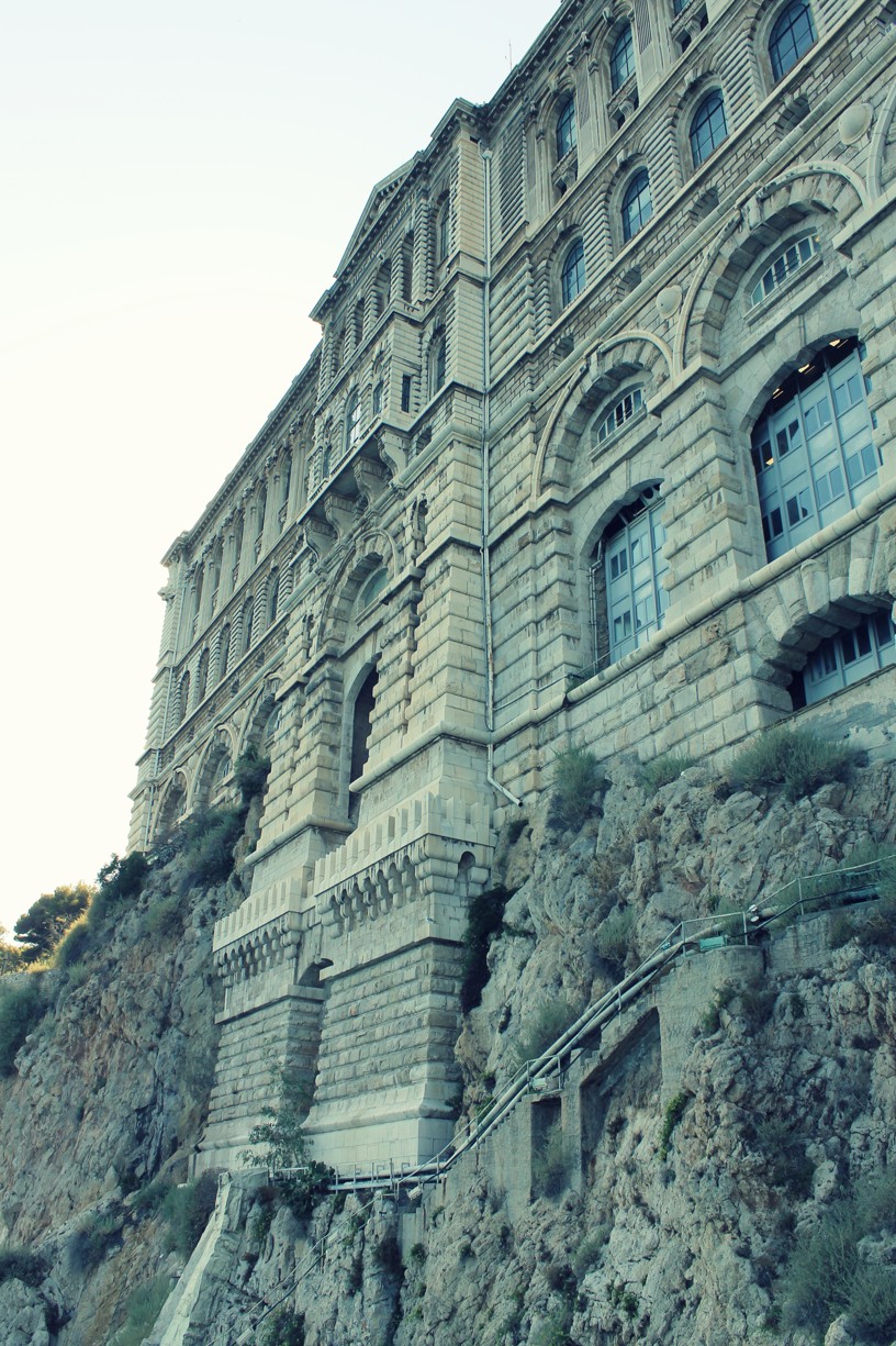 Oceánáografické muzeum co navštívit a vidět v Monaku, Monte Carlu