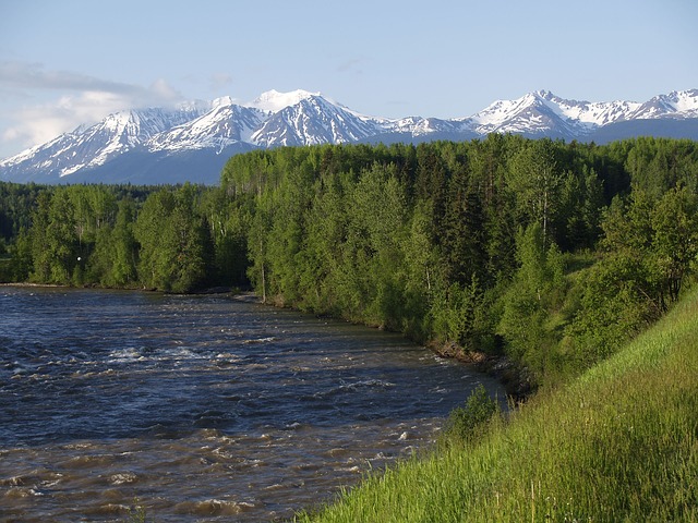 Kanada Britská Kolumbie Skeena River