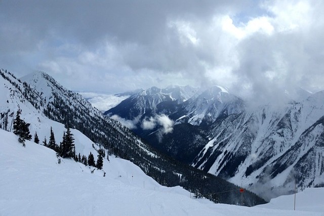 Kanada Kicking Horse ski