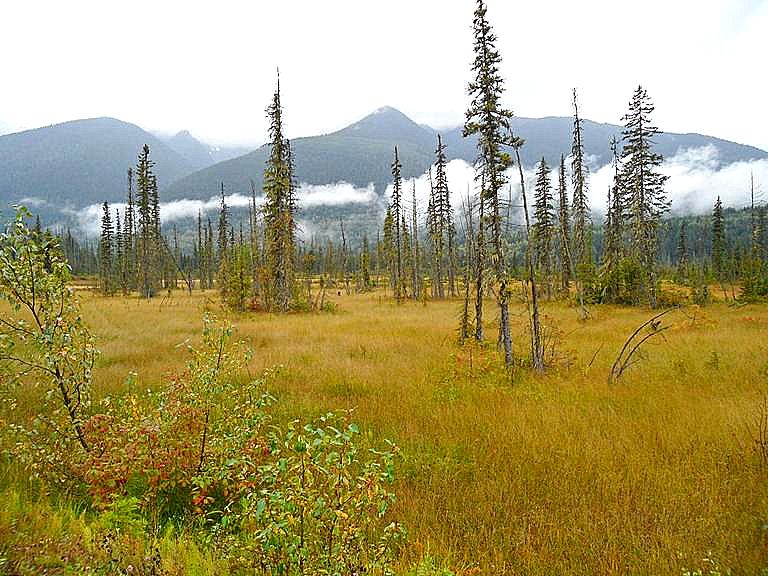 Kanada Kootenays