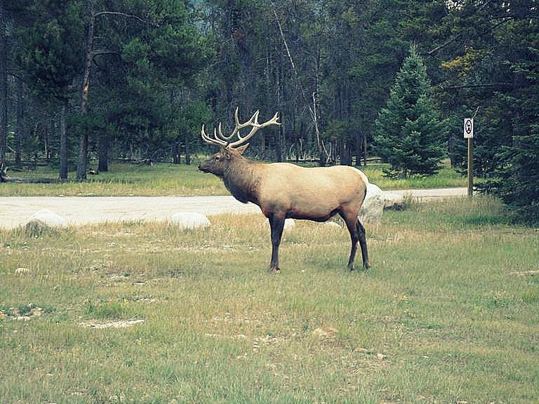 Kanada Národní park Jasper