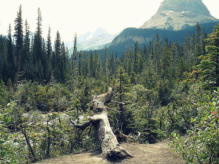 Kanada Yoho národní park