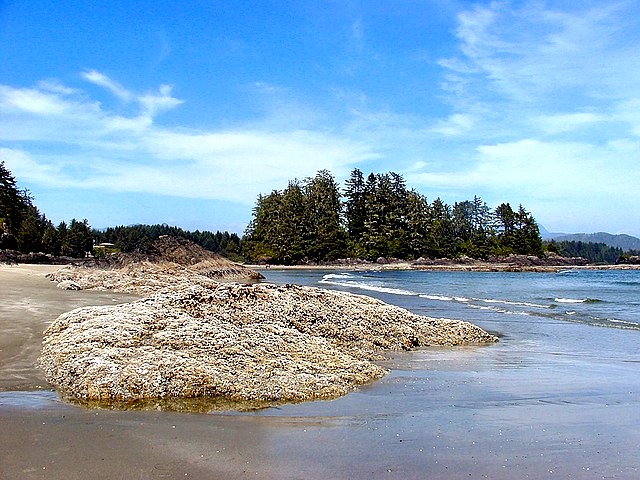 Tofino Long Beach Vancouver Island