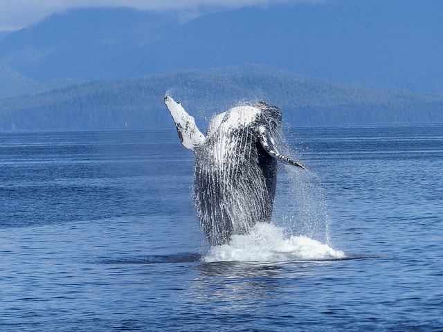 Tofino Vancouver Island