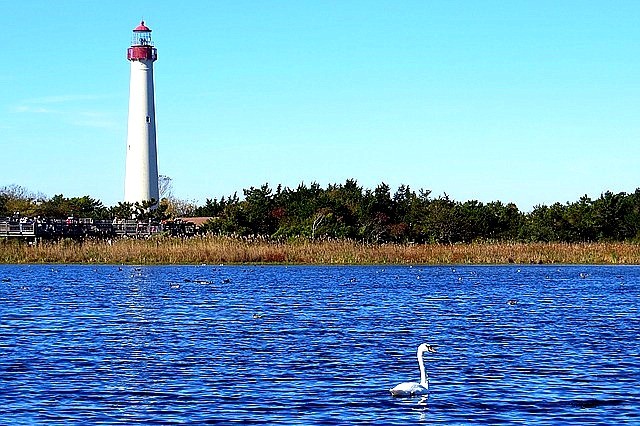 co navštívit a vidět v Cape May, východní pobřeží USA