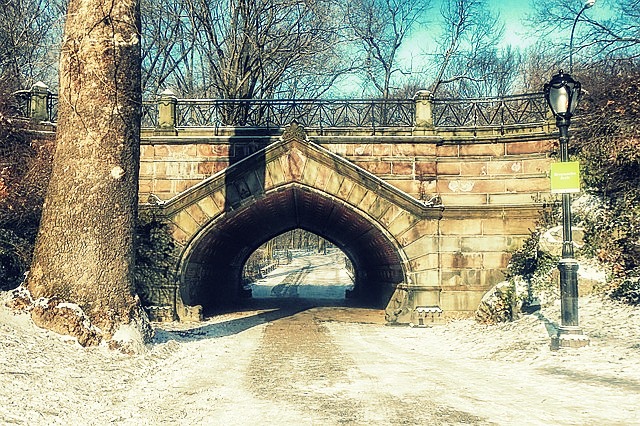 Central Park New York co navštívit a vidět