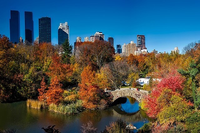 Místa New York  ze Sám doma Ztracen v New yorku co navštívit a vidět