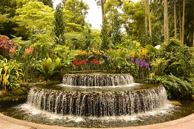 Singapur co navštívit a vidět botanická zahrada