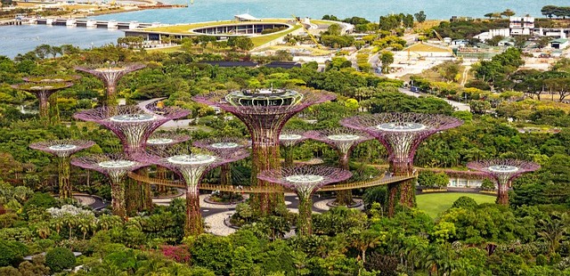 Singapur zahradní areál Gardens by the Bay South co navštívit a vidět v Singapuru