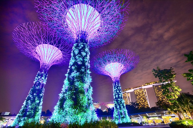 Singapur zahradní areál Gardens by the Bay South