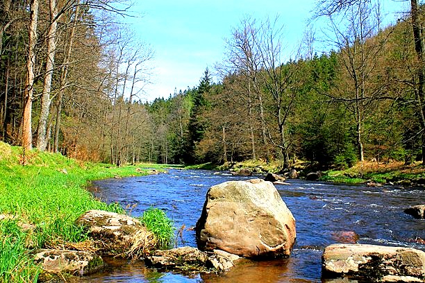 přírodní rezervace Zemská brána co navštívit a vidět v Orlických horách