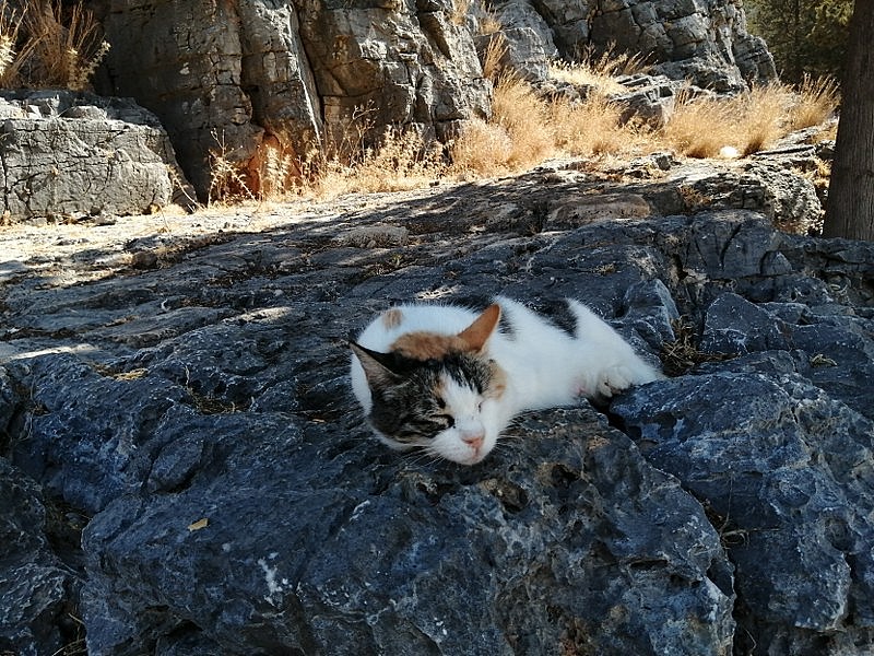 cestopis Rhodos Lindos