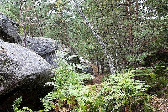  Fontainebleau lezení co navštívit a vidět ve Francii