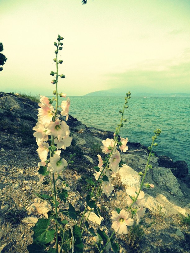 Lago di Garda co navštívit a vidět v Lombardii