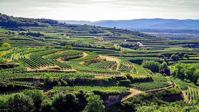 Co navštívit a vidět v Černém lese, masiv Kaiserstuhl