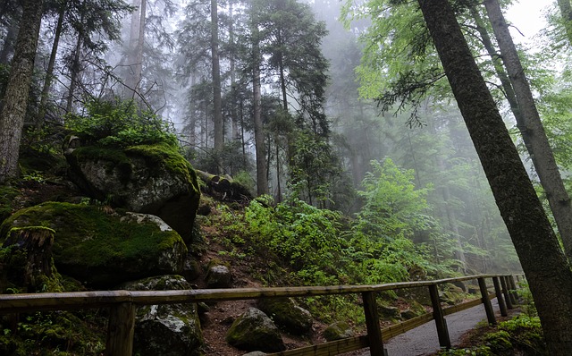 Triberg, Německo, vodopád