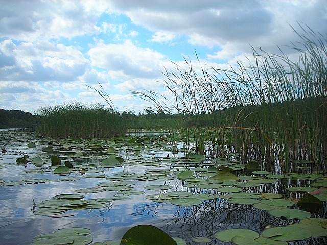 Meklenbursko Přední Pomořansko Národní park Müritz co navštívit a vidět Cesty po světě