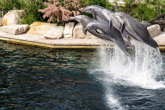 Co navštívit a vidět v Norimberku, zoologická zahrada průvodce Norimberk