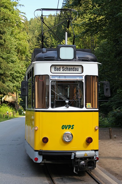 Saské Švýcarsko, Bad Schandau - co navštívit a vidět