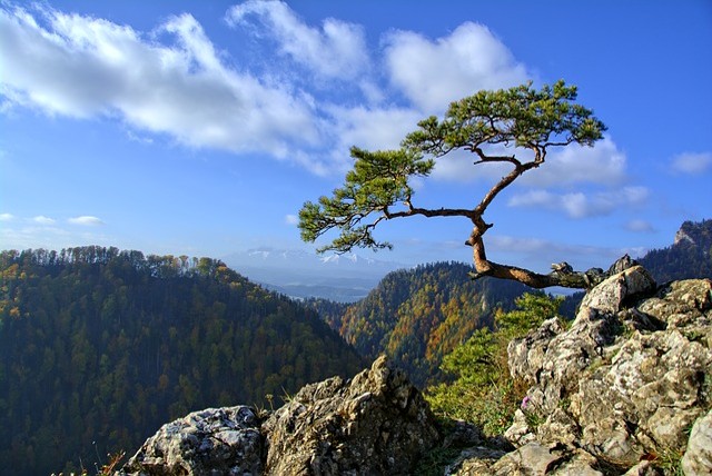 Pieninský národní park, Polsko co navštívit a vidět