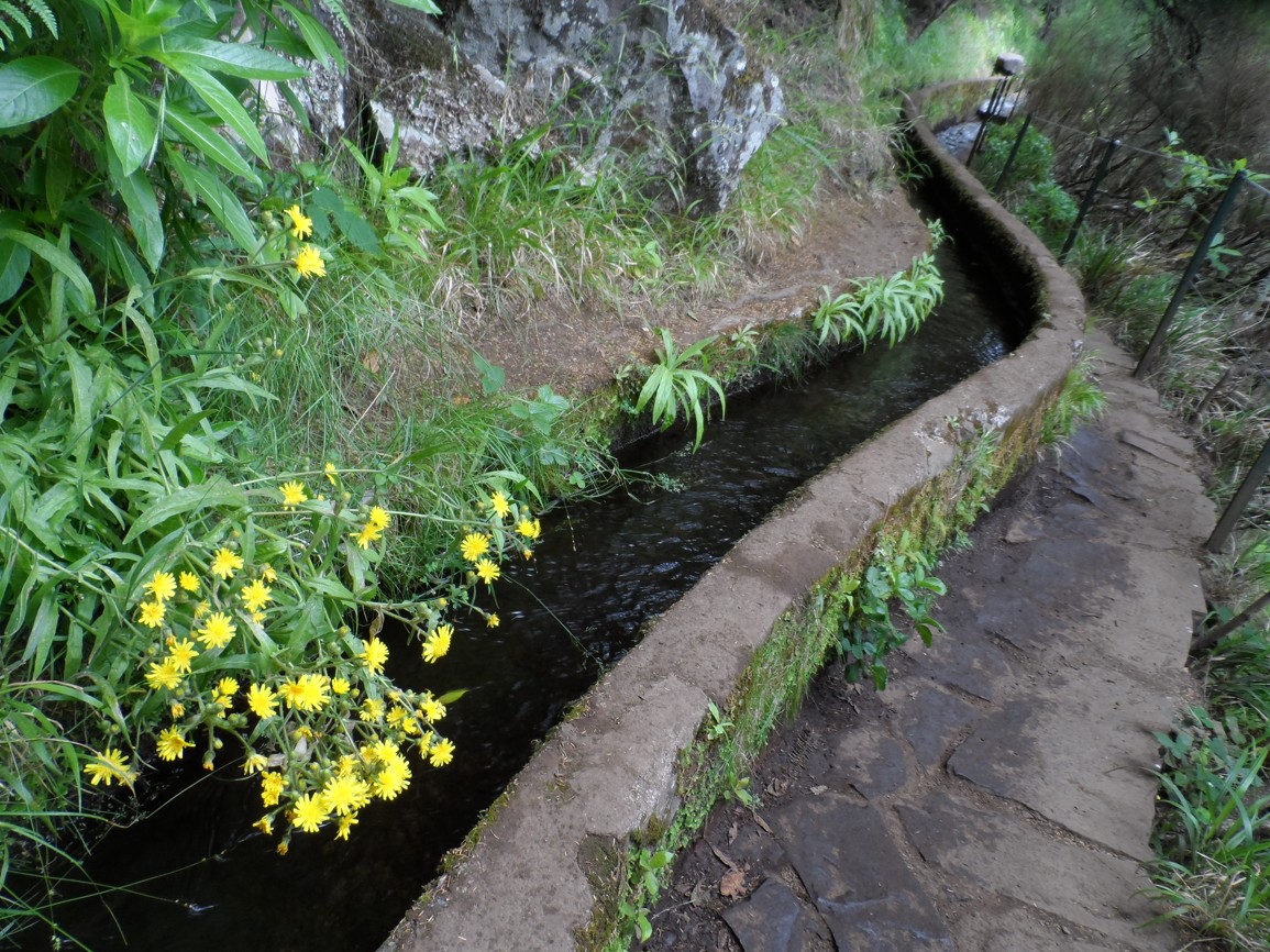 Madeira