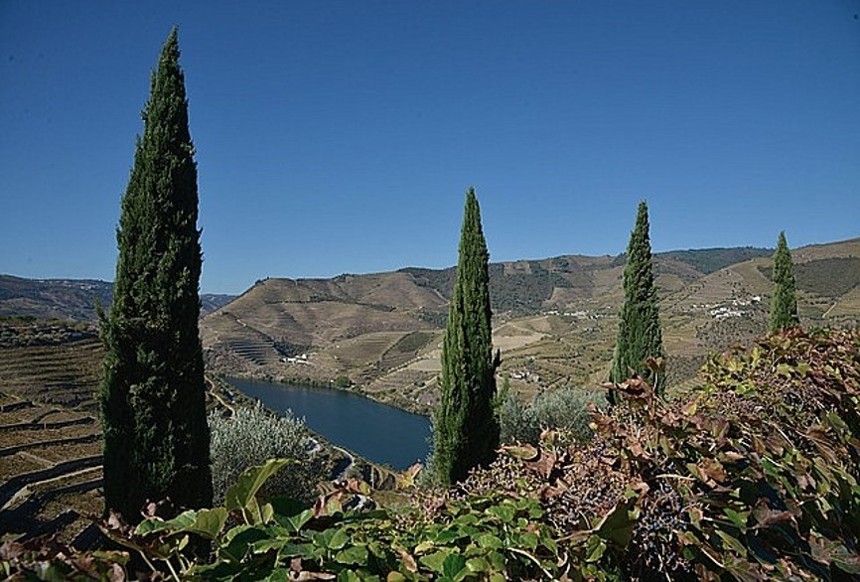 Severní Portugalsko, řeka Río Douro co navštívit a vidět v Portugalsku