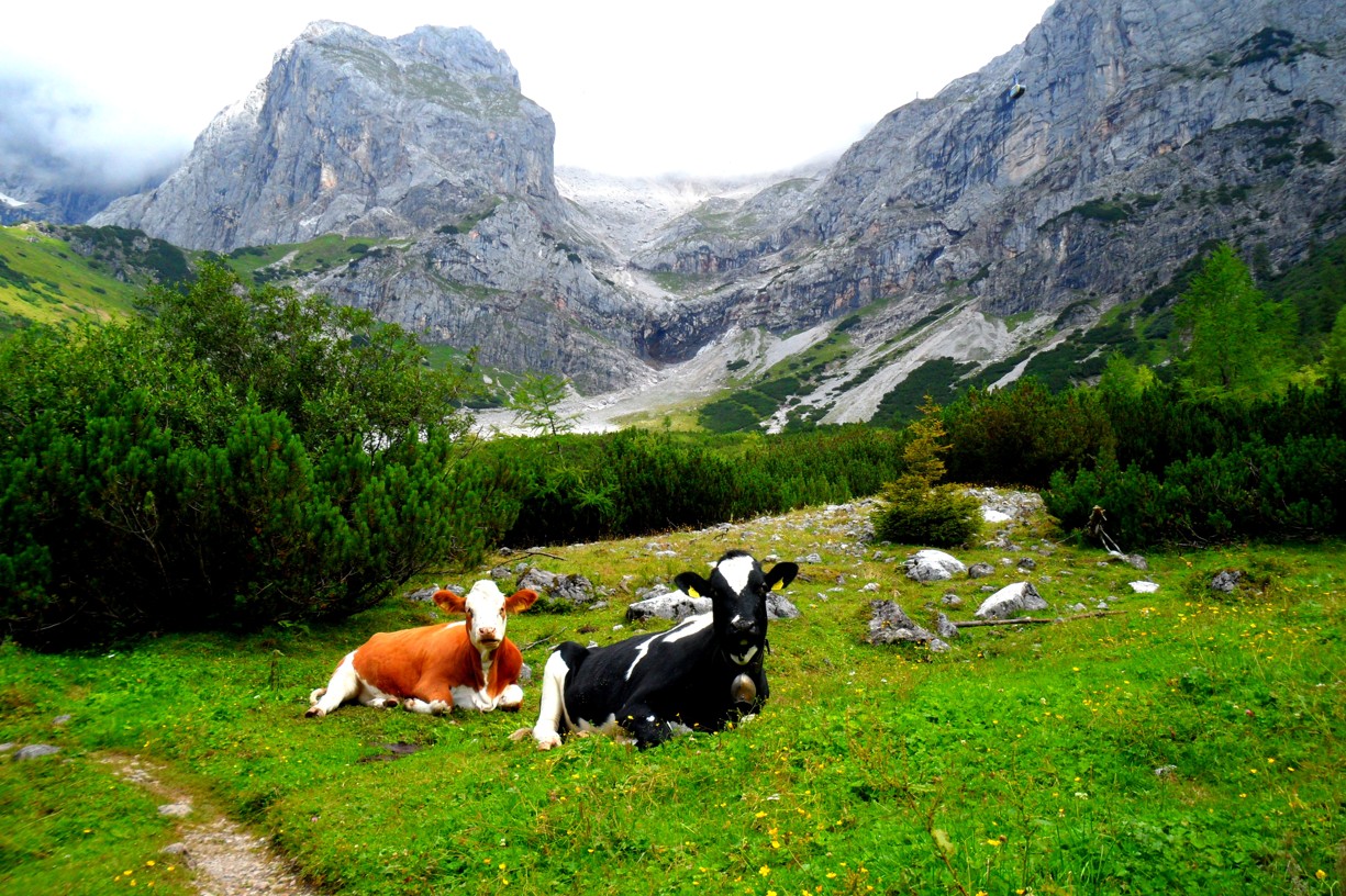 Dachstein