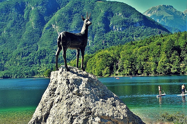 Slovinsko Julské Alpy Bohinj